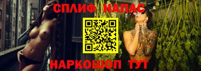 МДПВ Обнинск
