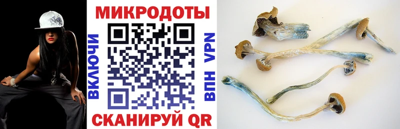 продажа наркотиков Ухта Галлюциногенные грибы Cubensis