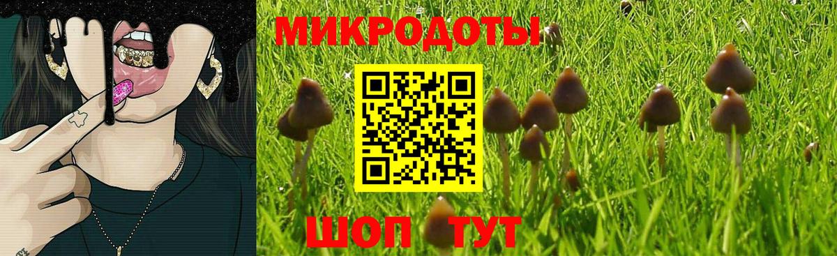 Галлюциногенные грибы прущие грибы  Вход с VPN  Ухта 