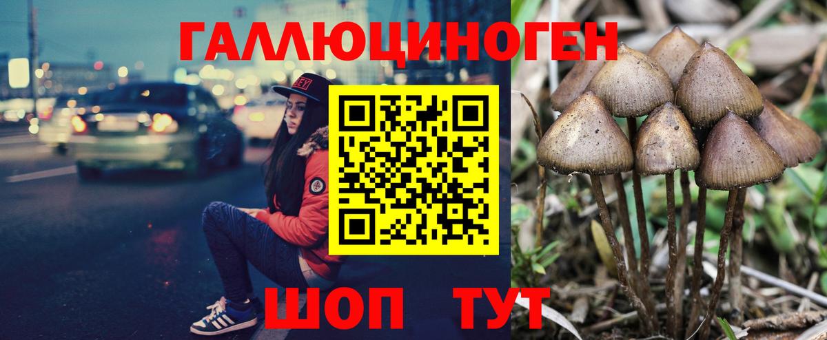 Галлюциногенные грибы ЛСД Ухта